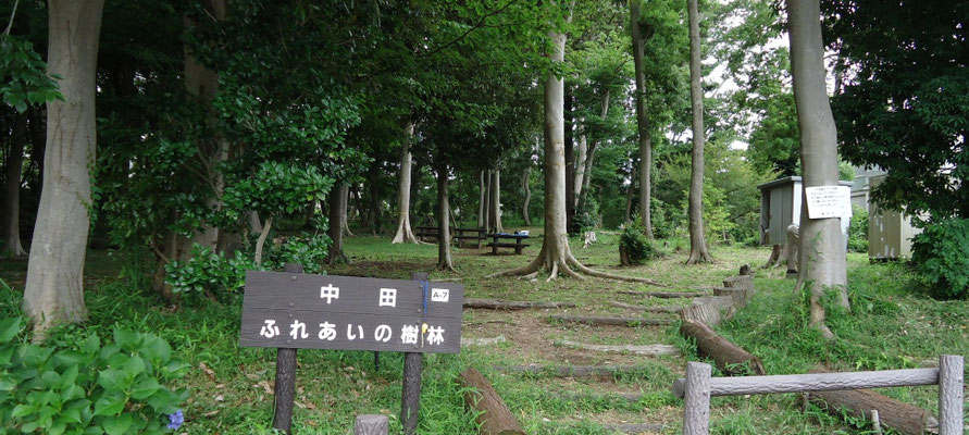 中田ふれあいの樹林愛護会公式サイト