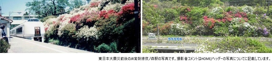 公益社団法人福島県獣医師会