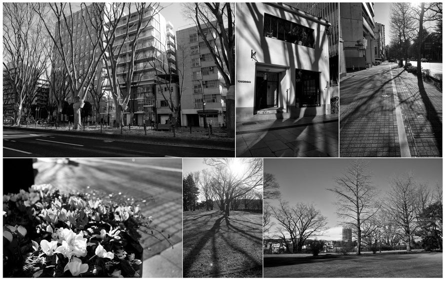 On The Sunny Side Of A Town (Jan.5, 2024)