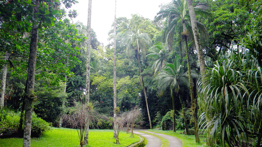 Botanischer Garten
