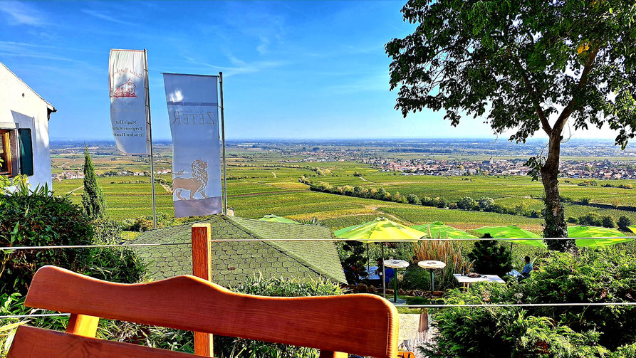 Aussicht vom Zeter Berghaus auf die Weinfelder und -ortschaften der Umgebung