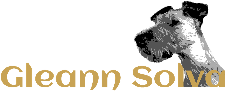 Gleann Solva, Irish Terrier, Österreich