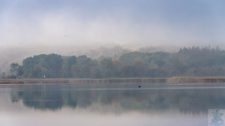 Lietzow im Nebel 
