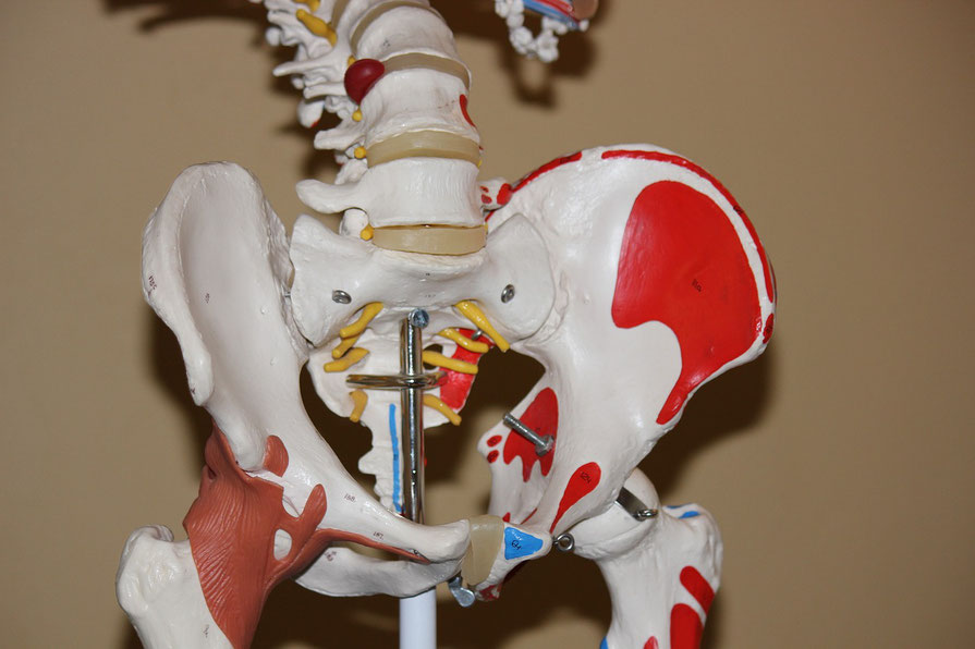 Praxis für ärztliche Osteopathie Hamburg