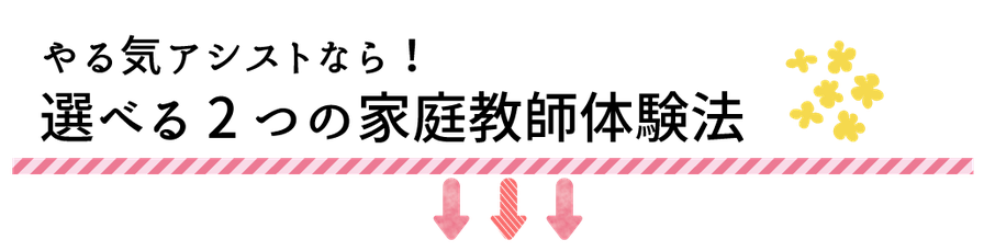やる気アシストなら、選べる2つの家庭教師体験法。