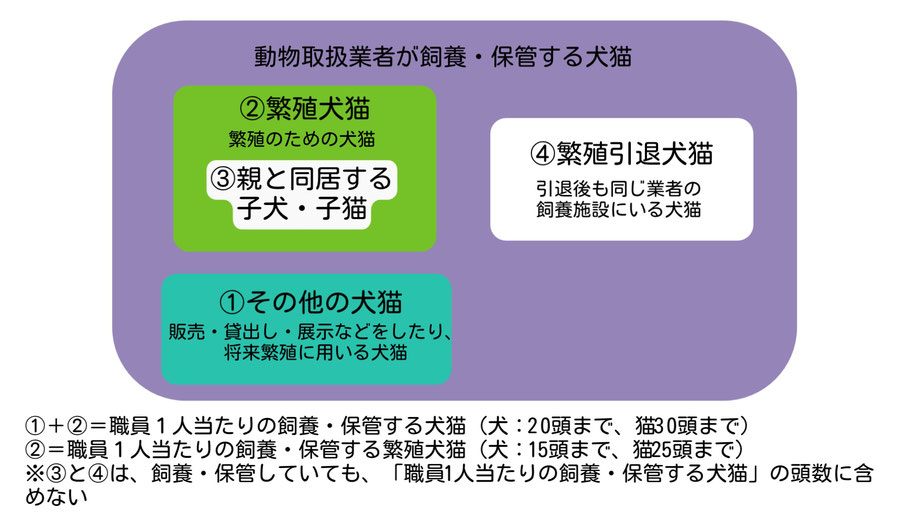 動物取扱業者が飼養・保管する犬猫（①その他の犬猫（販売・貸出し・展示などをしたり、将来繁殖に用いる犬猫）、②繁殖犬猫（繁殖のための犬猫）、③親と同居する犬猫、④繁殖引退犬猫（引退後も同じ業者の飼養施設にいる犬猫））　①＋②＝職員1人当たりの飼養・保管する犬猫（犬：20頭まで、猫：30頭まで）、②＝職員1人当たりの飼養・保管する繁殖犬猫（犬：15頭まで、猫：25頭まで）　※③と④は、飼養・保管していても、「職員1人当たりの飼養・保管する犬猫」の頭数に含めない