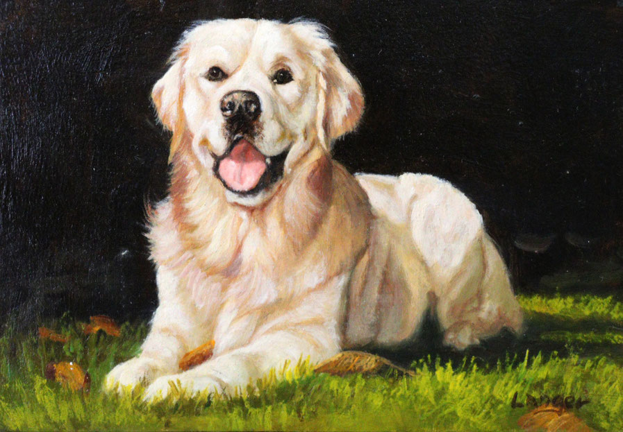 Golden Retriever 13 x 9 cm