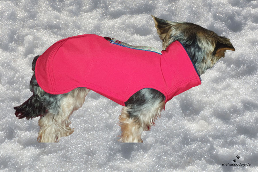 Wintermantel Hund Maßanfertigung, Thermo-Hundemantel nach Maß, Hundemantel Softshell Maßanfertigung