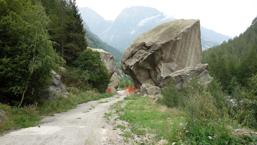 Nice - München Rallye, Berghuhn.de, Specialized Chisel Expert