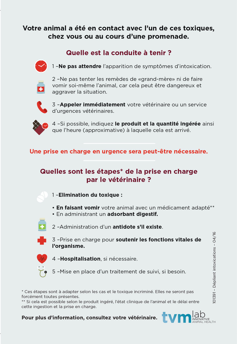 Educateur canin ; comportementaliste canin ; laboratoire TMV ; intoxication chien ; empoisonnement chien ; aliment toxique chien ; plantes toxiques chiens ; poison chien ; centre antipoison ; chocolat chien ; education canine ; franche comté ; doubs 25