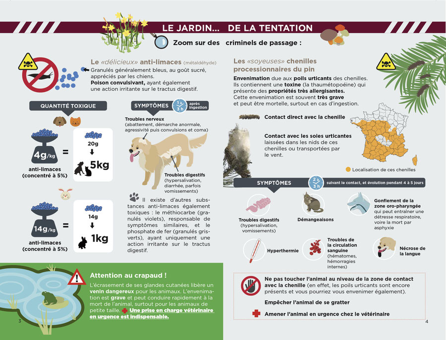 Educateur canin ; comportementaliste canin ; laboratoire TMV ; intoxication chien ; empoisonnement chien ; aliment toxique chien ; plantes toxiques chiens ; poison chien ; centre antipoison ; chocolat chien ; education canine ; franche comté ; doubs 25