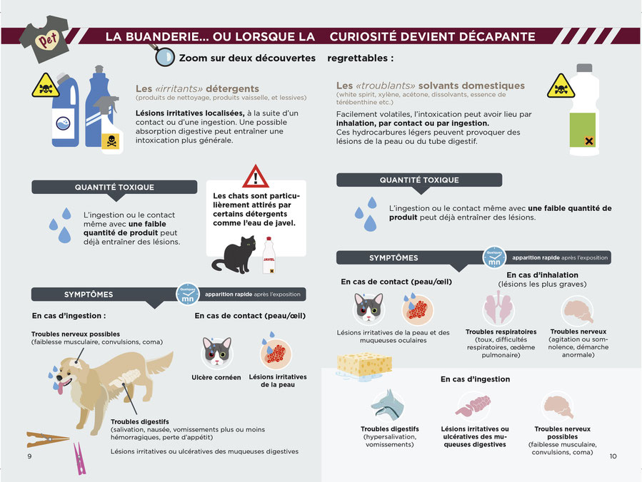 Educateur canin ; comportementaliste canin ; laboratoire TMV ; intoxication chien ; empoisonnement chien ; aliment toxique chien ; plantes toxiques chiens ; poison chien ; centre antipoison ; chocolat chien ; education canine ; franche comté ; doubs 25