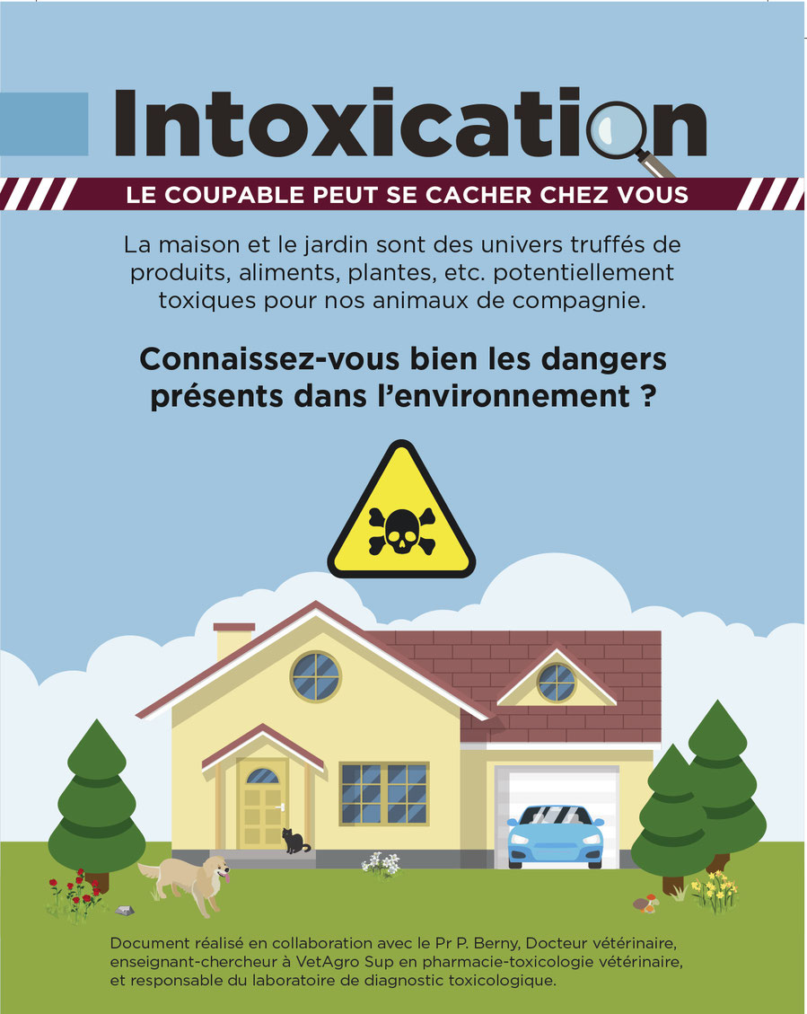 Educateur canin ; comportementaliste canin ; laboratoire TMV ; intoxication chien ; empoisonnement chien ; aliment toxique chien ; plantes toxiques chiens ; poison chien ; centre antipoison ; chocolat chien ; education canine ; franche comté ; doubs 25