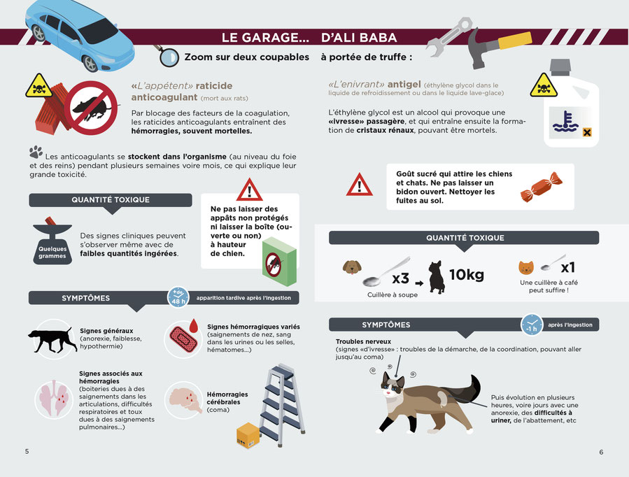 Educateur canin ; comportementaliste canin ; laboratoire TMV ; intoxication chien ; empoisonnement chien ; aliment toxique chien ; plantes toxiques chiens ; poison chien ; centre antipoison ; chocolat chien ; education canine ; franche comté ; doubs 25