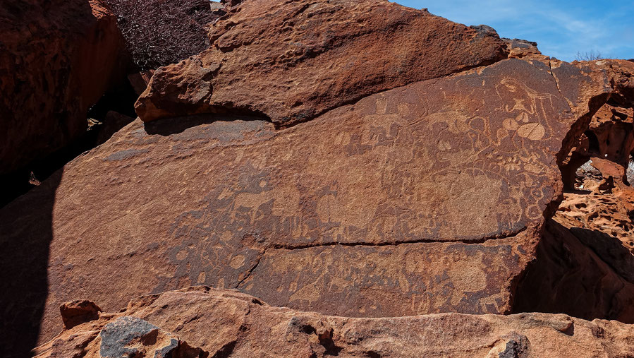Bestiaire fantastique, Twyfelfontein, photo non libre de droits