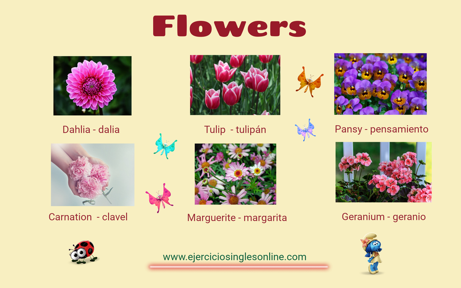 Flores en inglés