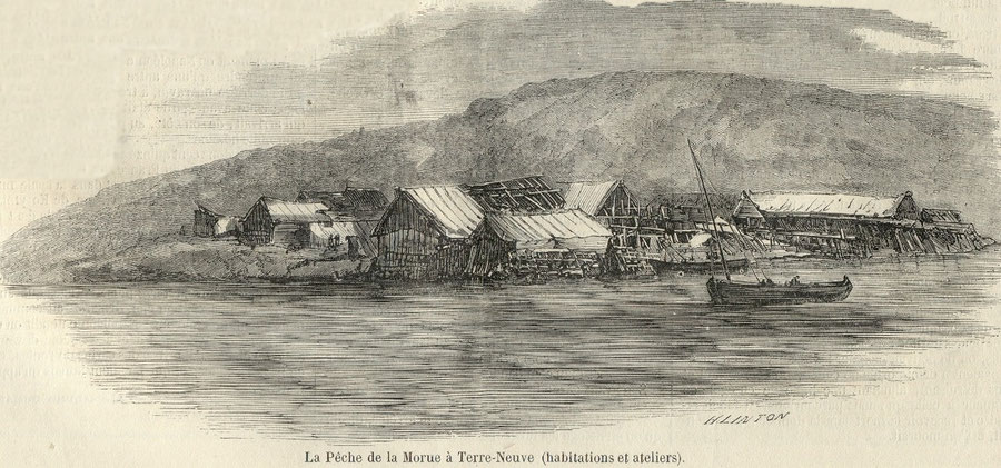 Etablissement français du French Shore à Terre-Neuve (gravure de l’Illustration de 1858)