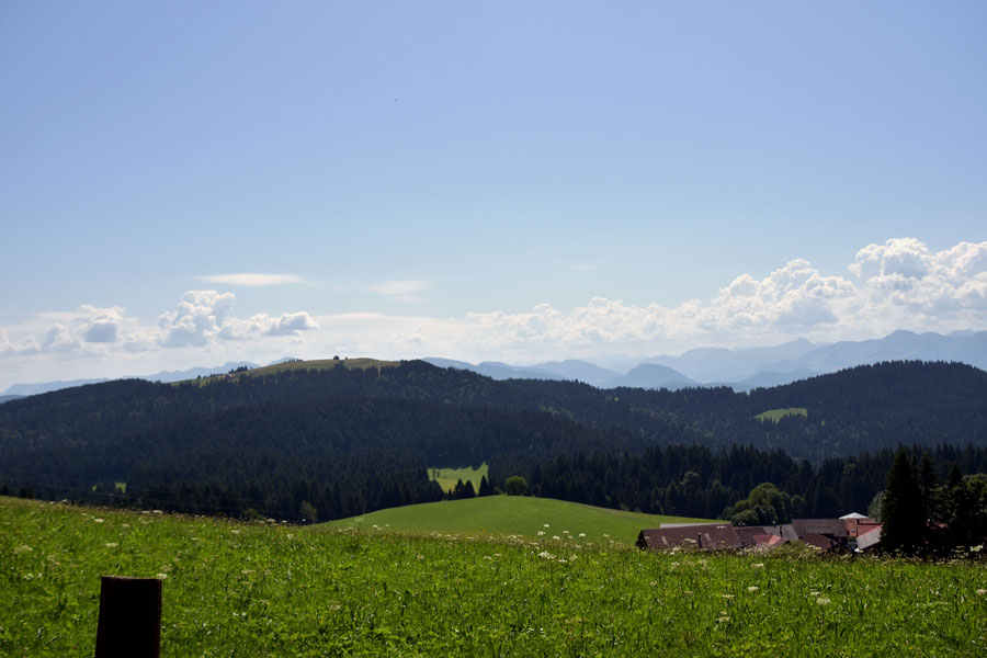 Aussicht vom Höhenweg Hochberg