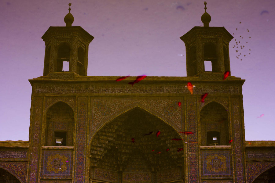 The pink mosque mirrored in the pond, Shiraz, Iran