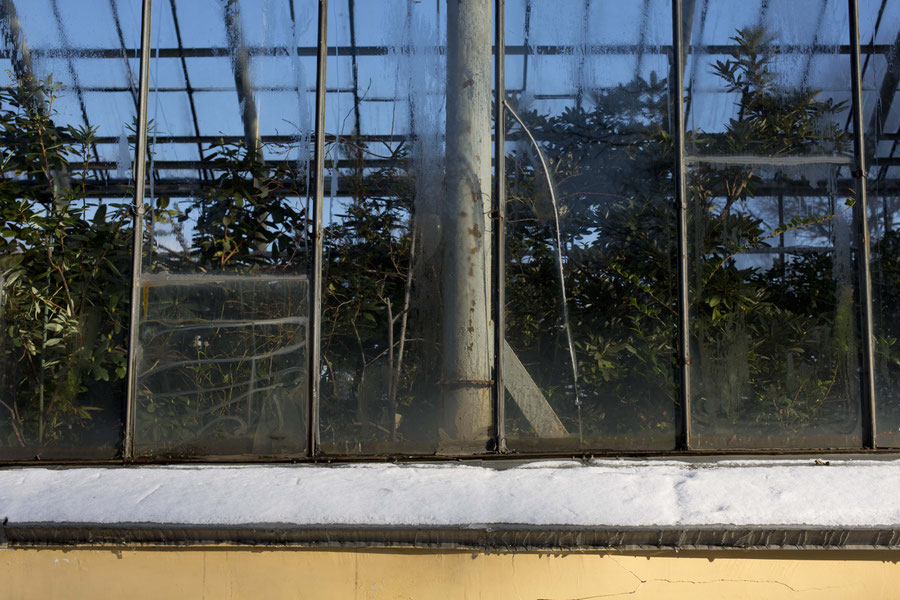 Time. The beautiful layers at the botanical garden in St. Petersburg, Russia