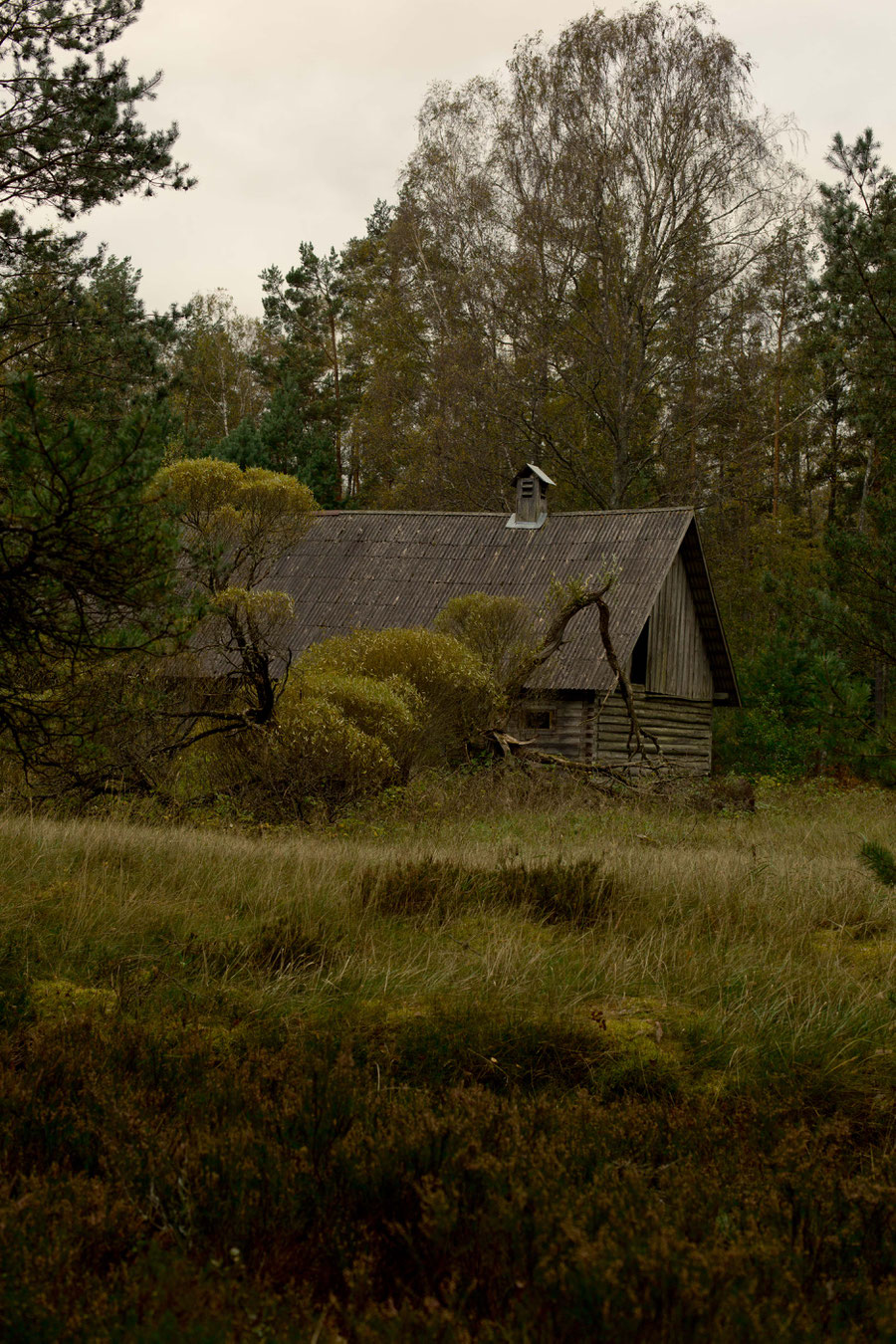 wooden house on the side of the road, Latvia