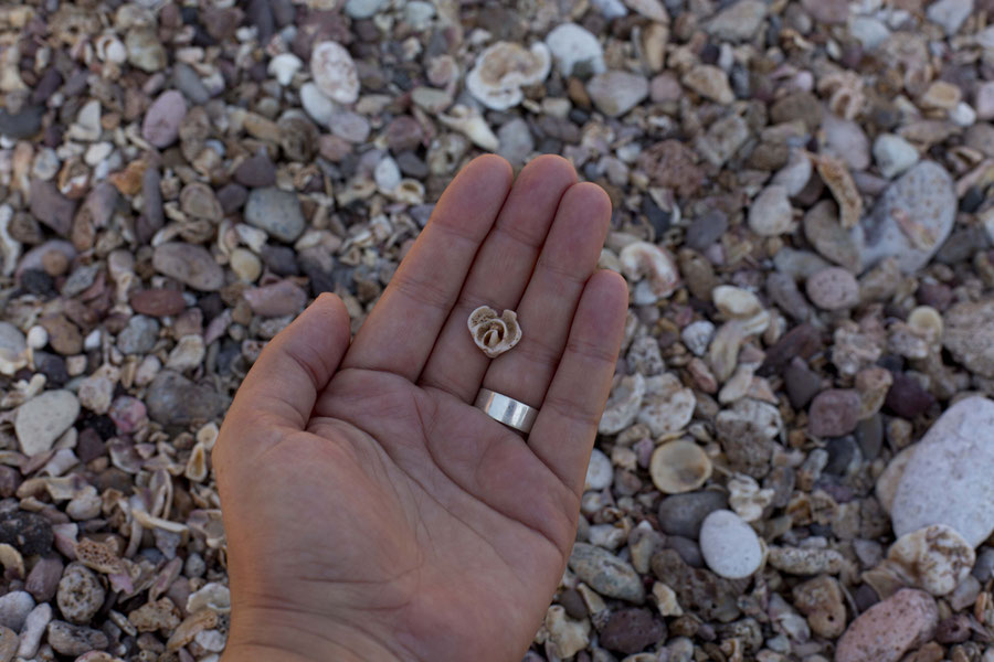 Stone rose, Hormuz, Iran