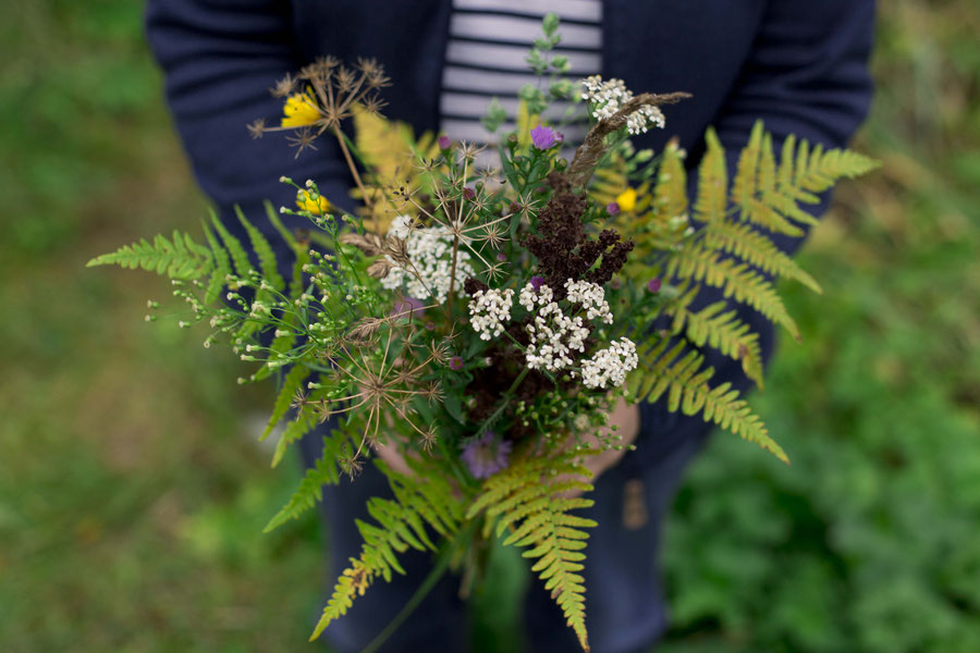 An eclectic bouquet of autumn flowers from the side of the road, Estonia