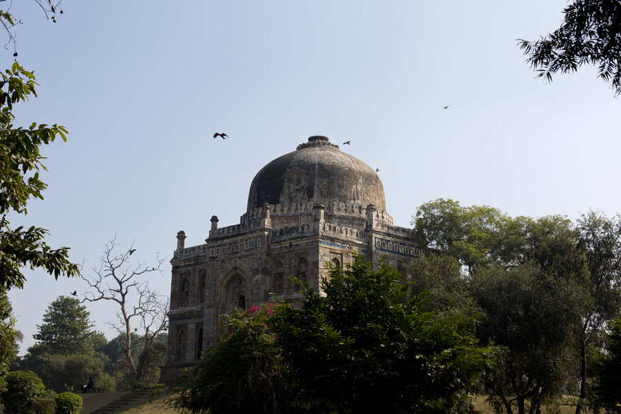 Shish Gumbad tomb, Loghi garden, India