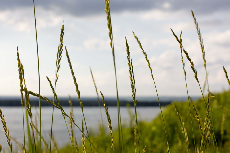 Summer in Samara, Russia