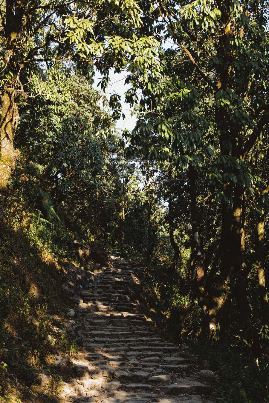 Taking the steps as they come, Mardi Himal Trek, Nepal