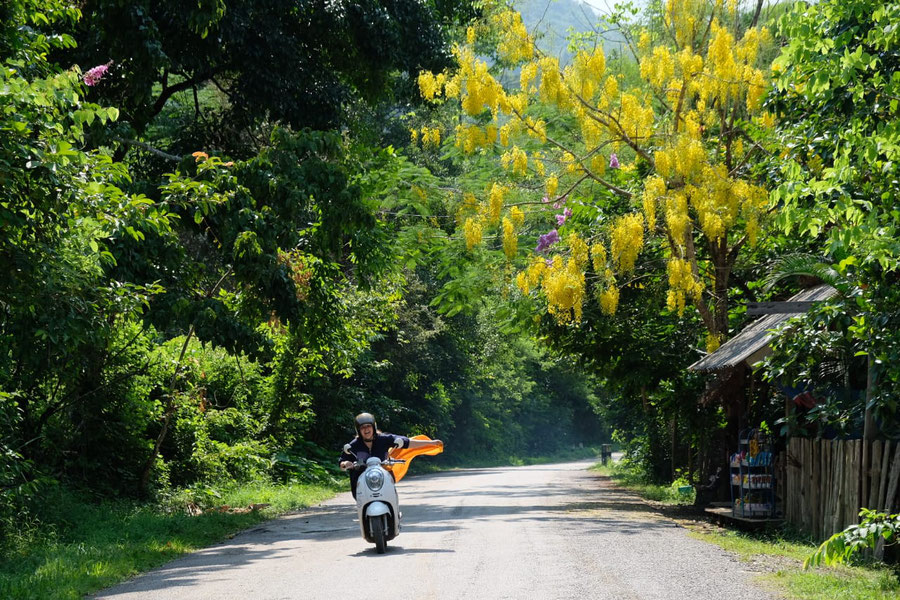 Picture by Leo and Sebastian, driving a scooter in Luang Prabang, Laos