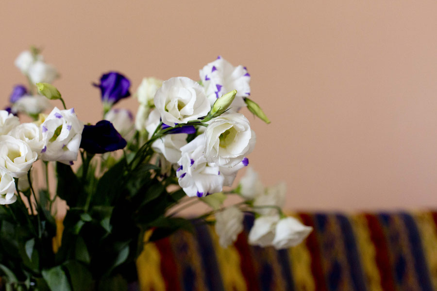 Birthdayflowers, Jerevan, Armenia