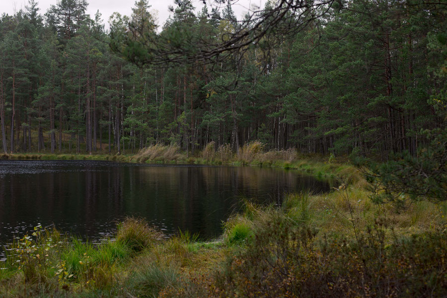 treachorous grounds, Latvia