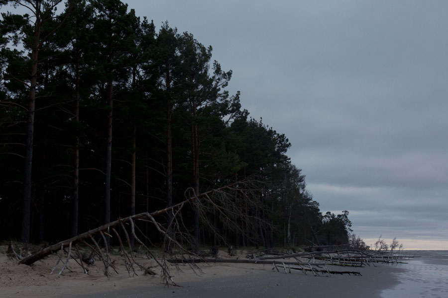 The beach of Kolka, Latvia