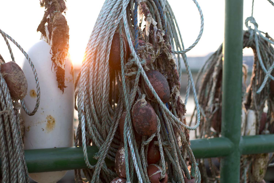 Fishing net in the harbour of Helgoland