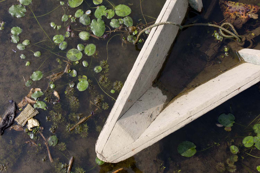 Moor, lake or dumping ground, Pokhara, Nepal