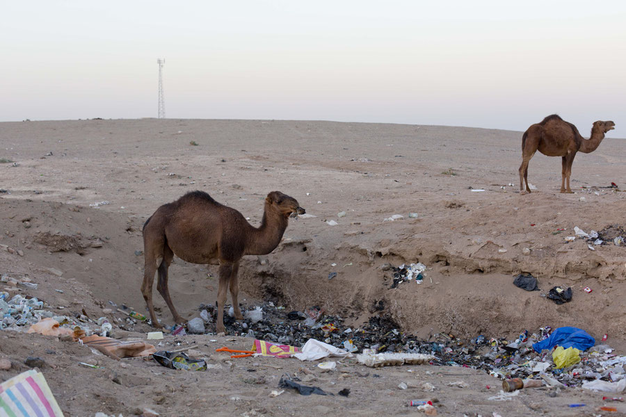 Dream vs. reality, Maranjab desert, Iran