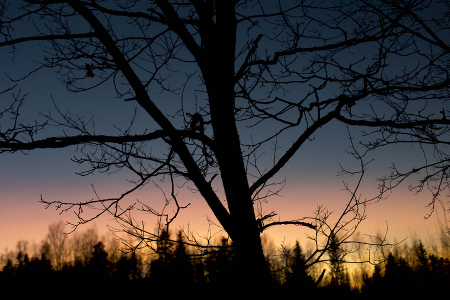 Epic sunrise in Finland