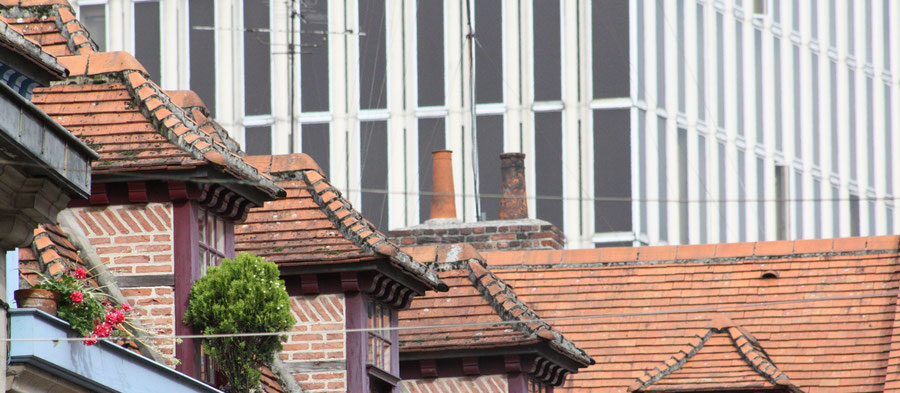 Jacquemars Immobilier Agence Immobiliere Lille . Vue sur les toits du Vieux Lille et le Palais de Justice par la place aux oignons.