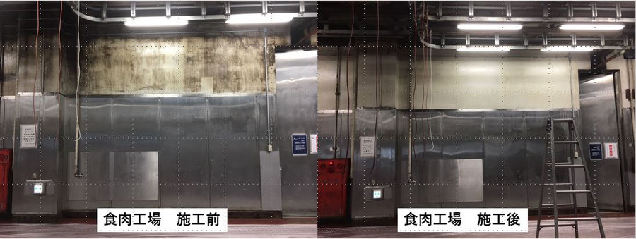 食肉工場のカビ取り