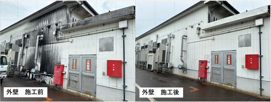 外壁のカビ取り