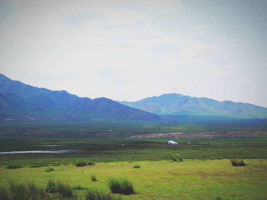 bigousteppes mongolie yourte steppes