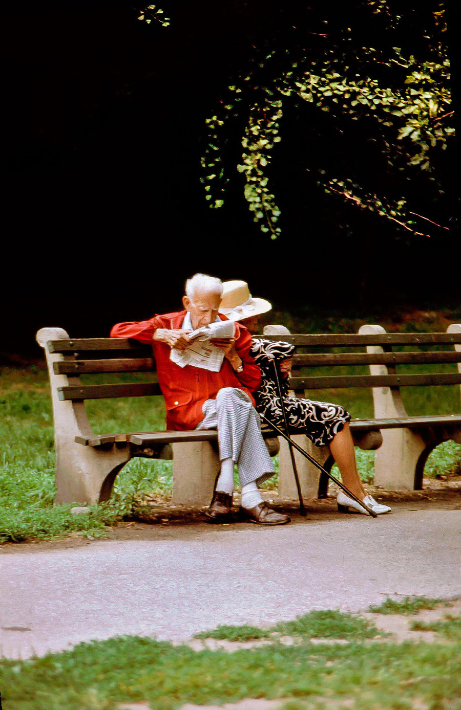 An old couple chilling in Central Park in New York city