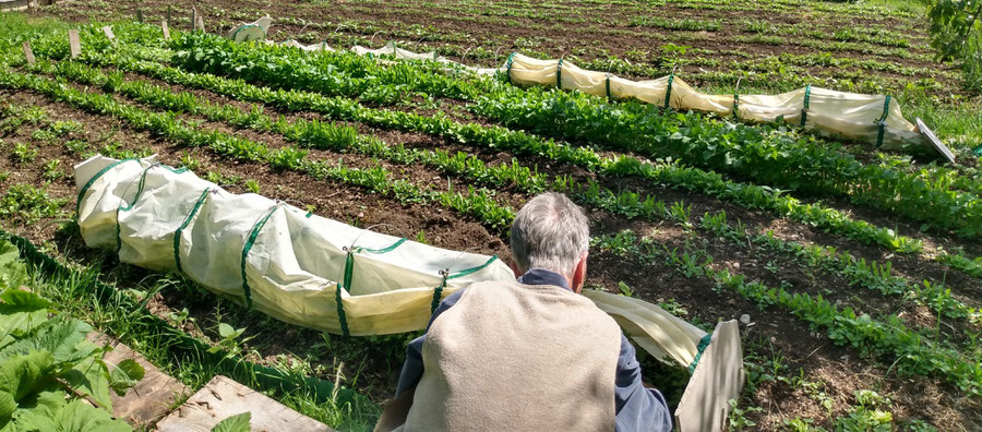 Foto Projekte von United Nature zu den Themen: biologischer Gartenbau, Naturmeditation, Gartentherapie, Klima Änderung, spirituelle Landwirtschaft, Edelsteielixiere, Blütenessenzen, Sufismus und Mystik an