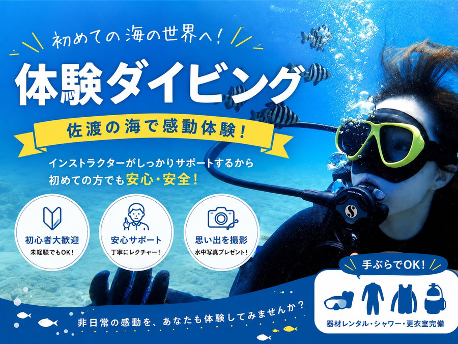 佐渡で体験ダイビングを楽しむお客様｜フリーウェイ佐渡店