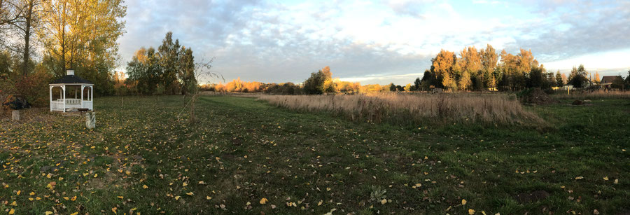 View from the artists studio in Autumn.