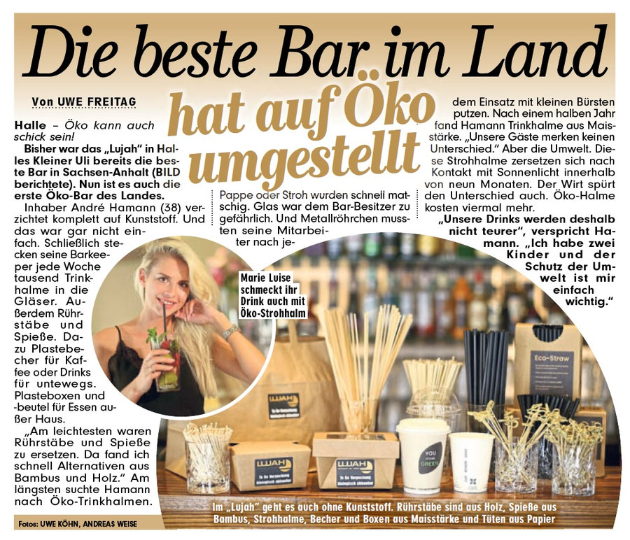 Bild Sachsen-Anhalt Halle (Saale) Ausgabe 13.09.2018