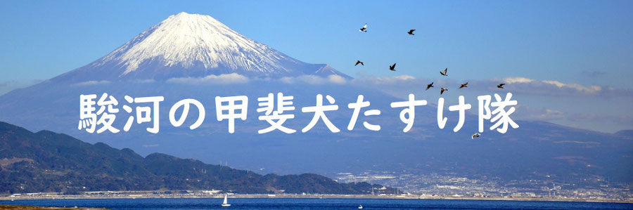 kaiken2018 ページ！
