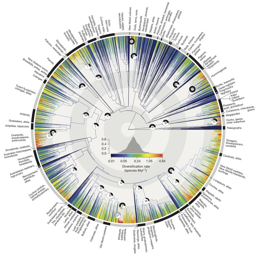 Phylogenomics physaliacourses