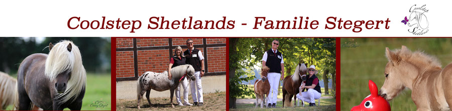 coolstep-shetlands Webseite!